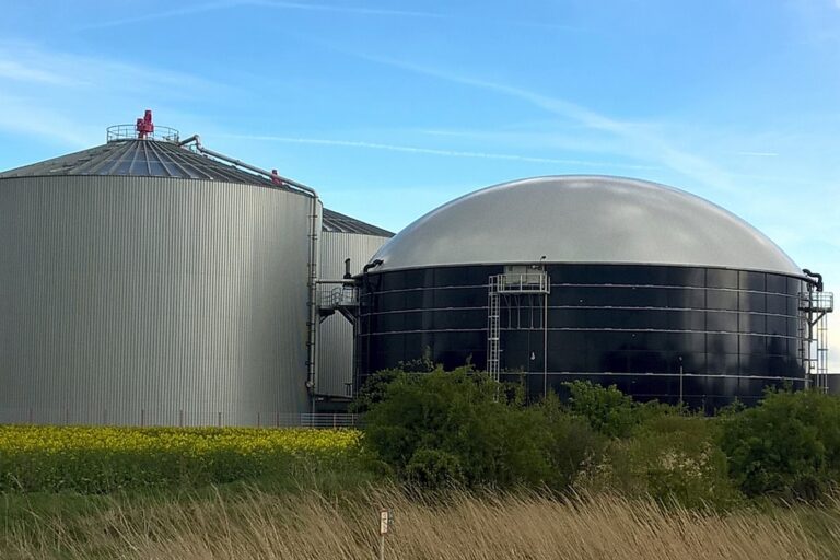 Deutscher Flex-Betrieb passt Biogasanlage an die Bedürfnisse der Landwirte an
