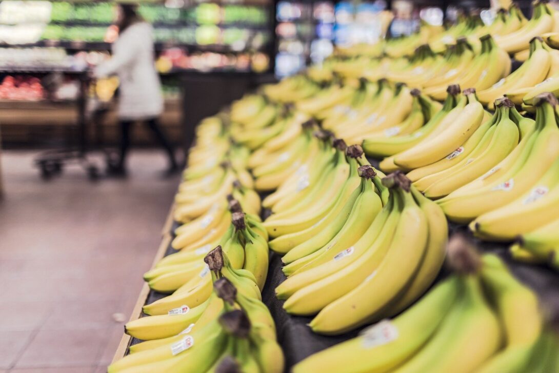 Die Welt warnt vor dem drohenden Verschwinden der Bananen