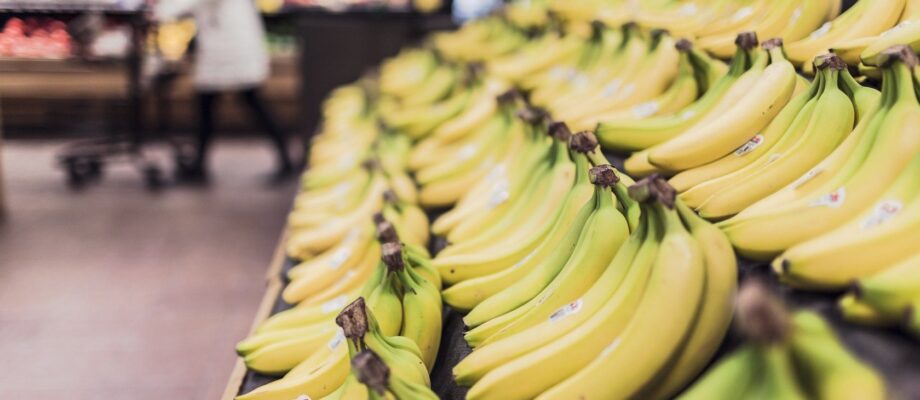 Die Welt warnt vor dem drohenden Verschwinden der Bananen