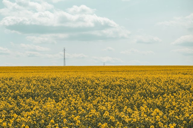 Wie ein Student Zeit für die Landwirtschaft gewinnen kann