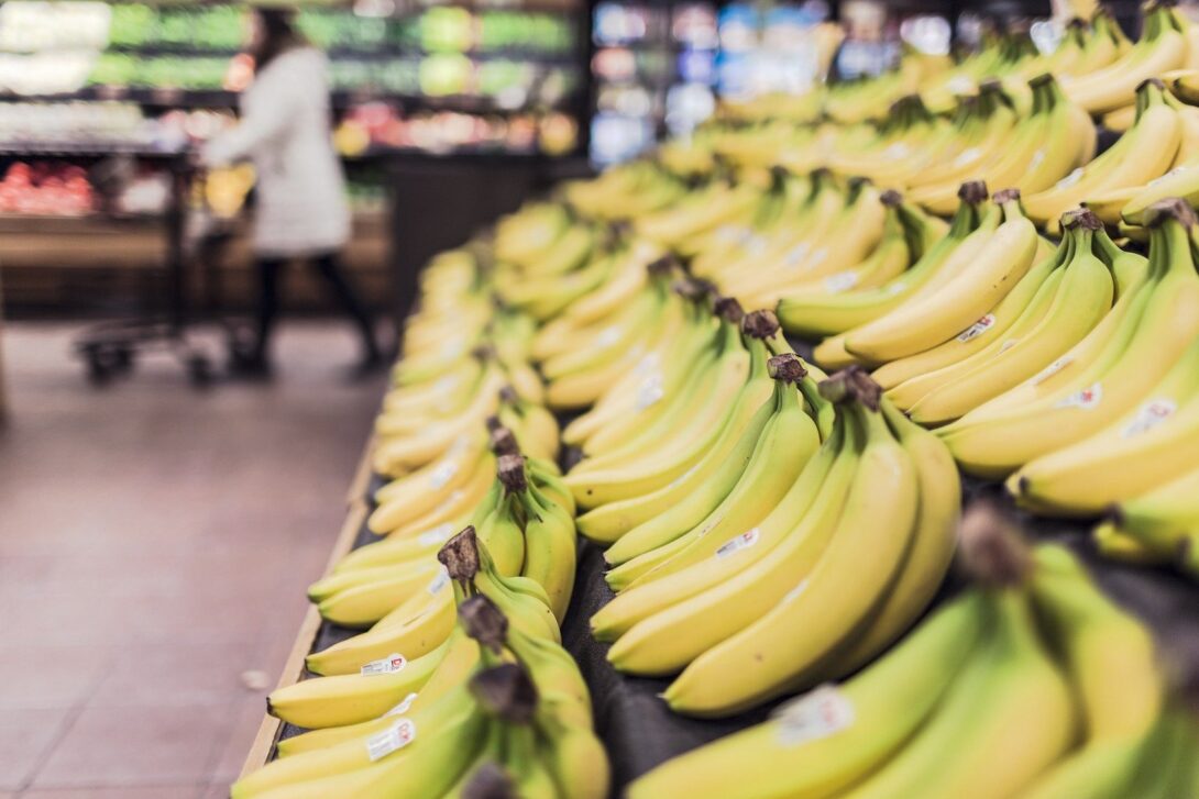 The world warns of the imminent disappearance of bananas The world warns of the imminent disappearance of bananas
