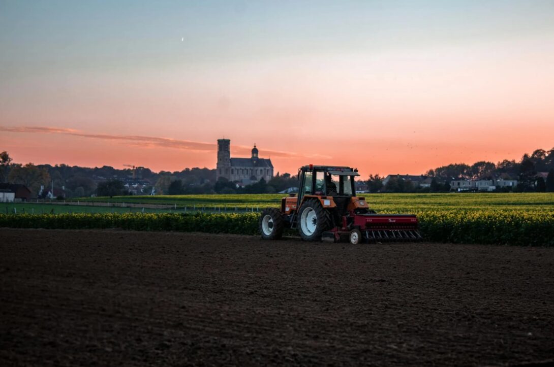Zwischen Theorie und Praxis: Wie Dissertationen zur nachhaltigen Landwirtschaft beitragen