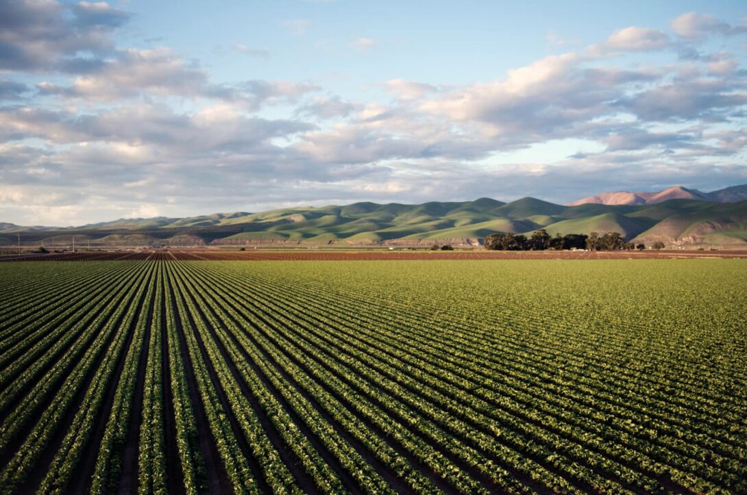 Technologische Innovationen in der deutschen Landwirtschaft: Smart Farming im Fokus Technologische Innovationen in der deutschen Landwirtschaft: Smart Farming im Fokus