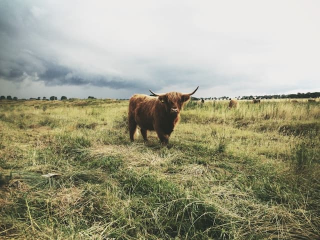 Klimawandel und seine Auswirkungen auf die deutsche Landwirtschaft Klimawandel und seine Auswirkungen auf die deutsche Landwirtschaft